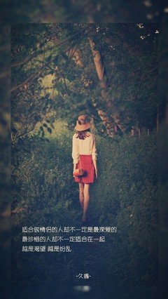 有关猫的句子