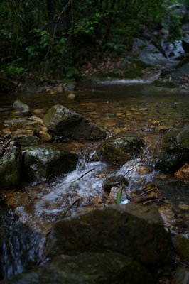 夏的私语