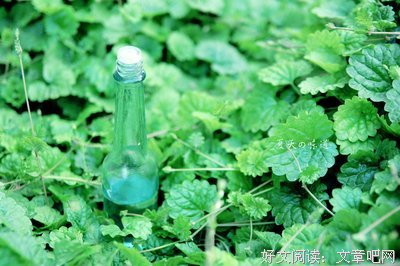 佳句名句欣赏