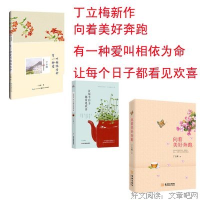 丁立梅的名言名句