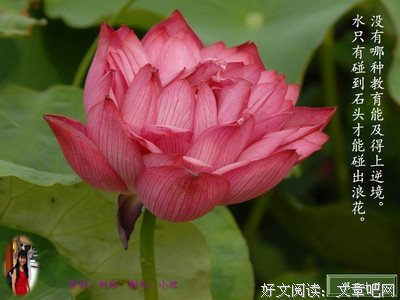 厉爵风经典名句