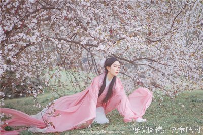 最新的《三生三世 枕上书》经典的句子