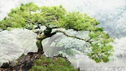 最经典的《我不愿让你一个人》经典语句大全