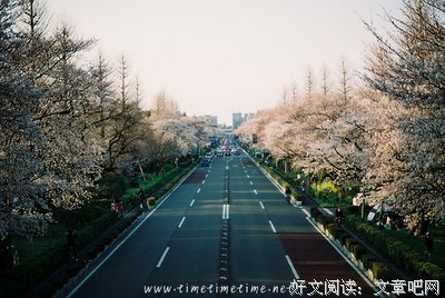最经典的《我想和你互相浪费》经典语句大全