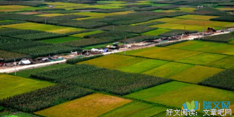 《我站在桥上看风景》好段摘抄大全