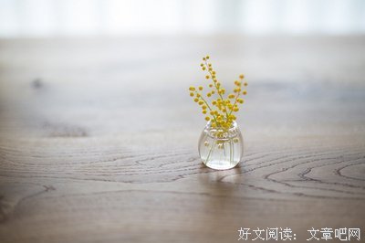 最全的《生活的另一种美好》语录摘抄