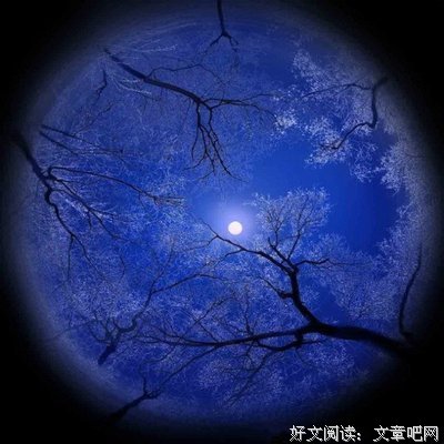 最新的《藏在这世间的美好》名句欣赏大全