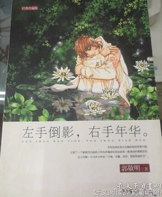最新的《左手倒影，右手年华》经典的句子