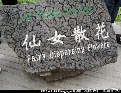 关于惟妙惟肖的语句