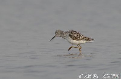摸着石头过河的名句_关于摸着石头过河的名句