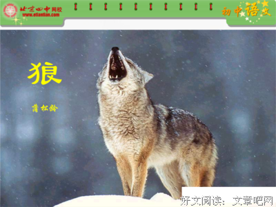 狼吞虎咽的句子