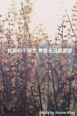 《二次》的句子