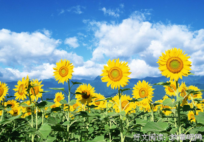 故意句子