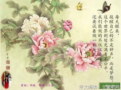 惜爱经典名句