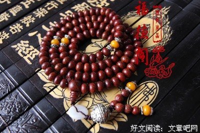 有关菩提子的句子