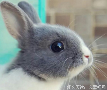 碎碎念.....经典的句子
