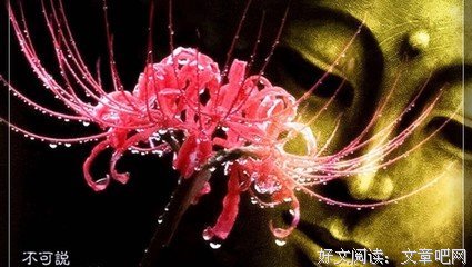 有关左丘明名句欣赏