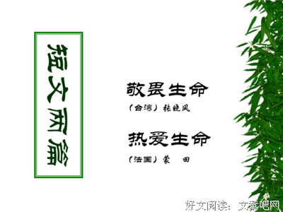 有关张晓风精彩语录
