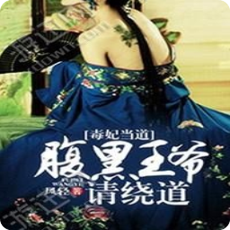 《王妃嫁到：腹黑王爷接招》好段摘抄