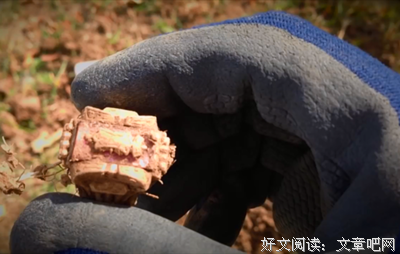 聂清荣：一枚金戒指