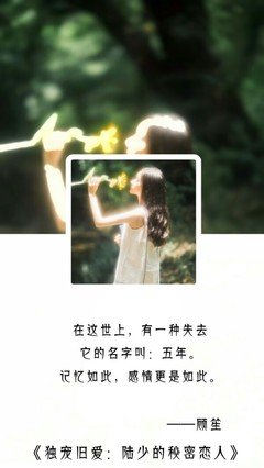 最经典的《独宠旧爱：陆少的秘密恋人》佳句摘抄