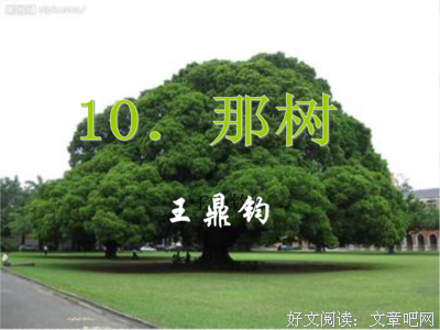最经典的《杀戮秀》经典句子