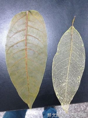你不将就的样子真酷。