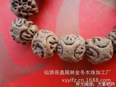 《麒麟中队》佳句摘抄