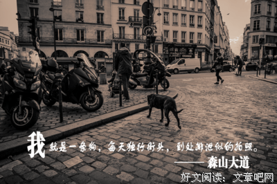 描写袭人的经典句子