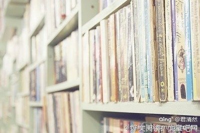 关于烧书的格言