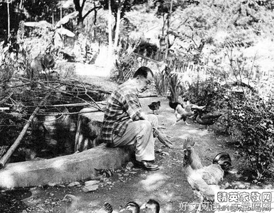 少见的名人名言
