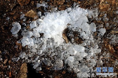 雪舞早春，岁月静安