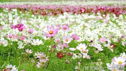 有关明的个的句子