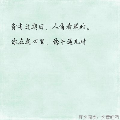 爱文字的优美句子