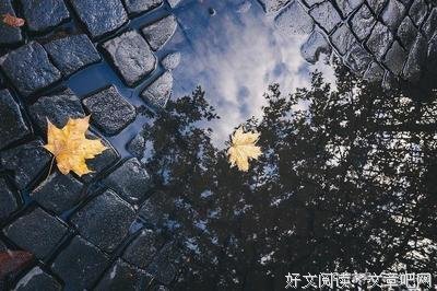 人间当把不之中只之中只就经典的句子