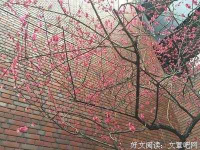 2018苏枕书名句欣赏