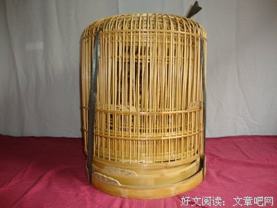 关于画眉郎名言大全
