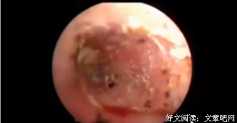 罗永浩经典名句