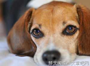 最新的《益的好降措尊者新浪微博》语录摘抄