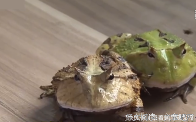 太恶心了，要不是亲眼看到，我差点以为女友的房间是垃圾中转站！