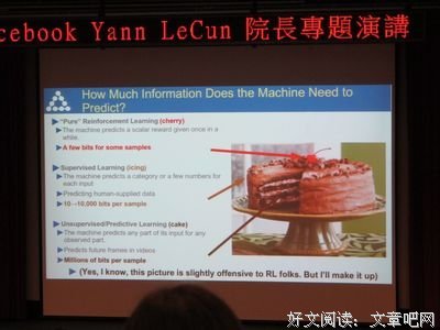 深度研经系列课程：圣经比喻研究与解析之《两种不同根基的比喻（