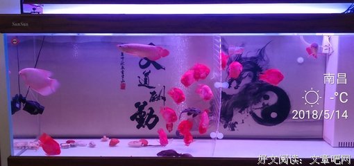千怀感言，感不清人生百态，万声长叹，叹不尽世事无常