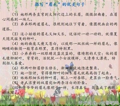 收藏优美的句子