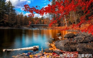 《好听》的句子