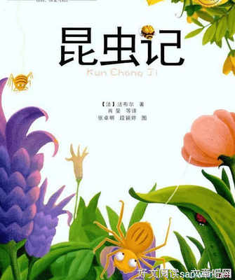 句句惊心好词好句