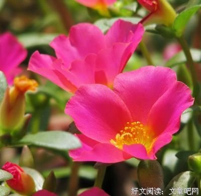 《安知我意》语录摘抄