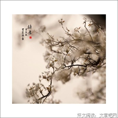《心》经典语句