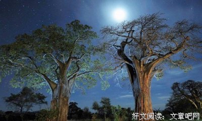 关于百味尝名言名句