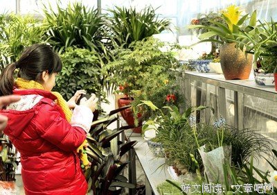 心菲菲，路迷迷 1 上