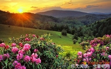 关于绚丽多彩的语句